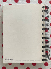 Load image into Gallery viewer, Carven Spring 2012 by Guillaume Henry Lookbook
